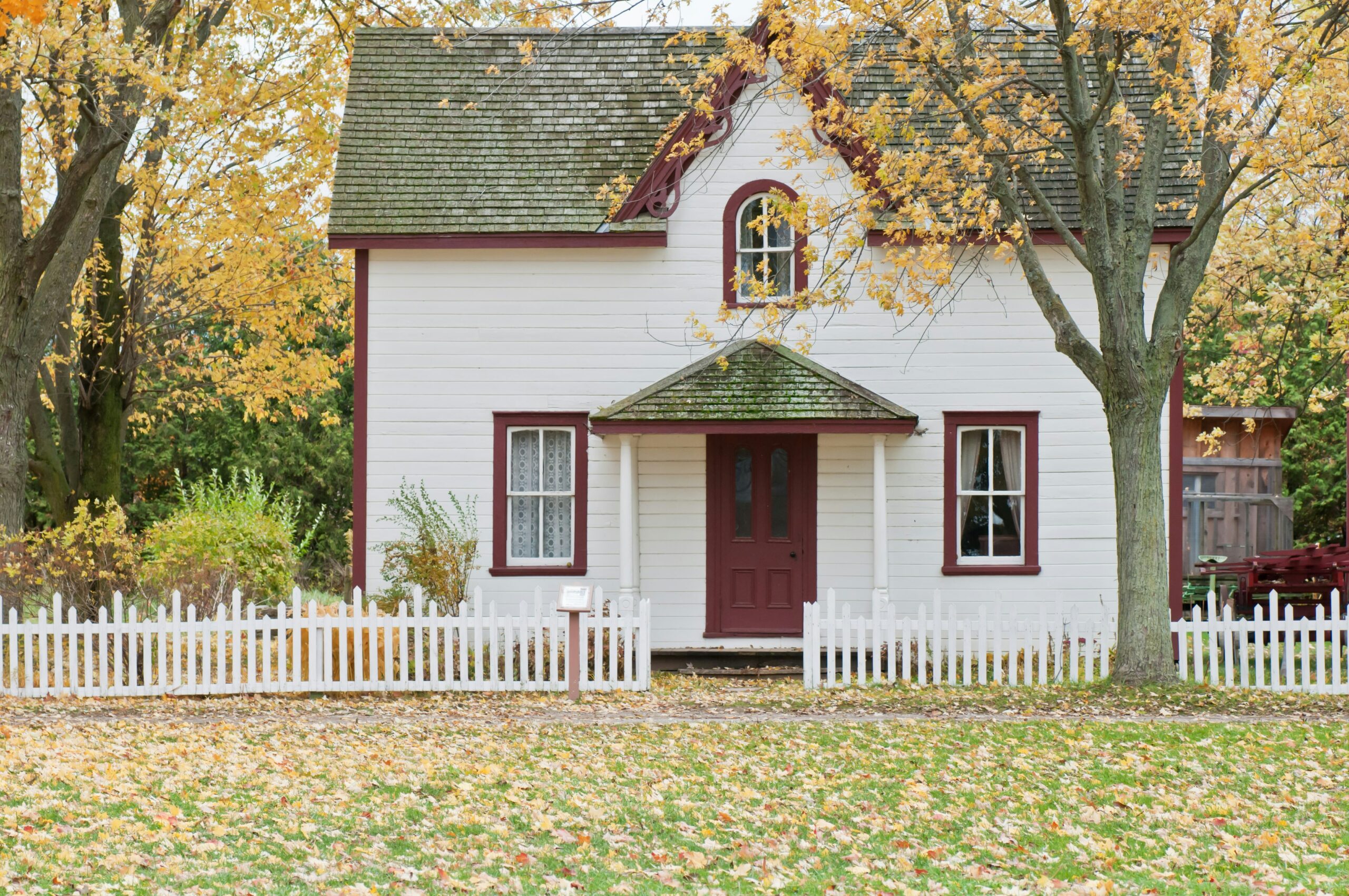 7 Ways to Keep the Wokeness Out of Your Home and Away from Your Kids